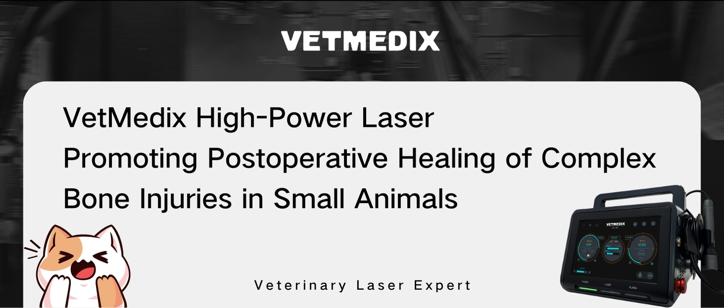 VetMedix کیس شیئرنگ丨حیوانوں میں ثانوی ٹیبیو فیبلر فریکچر کا ہائی پاور لیزر علاج