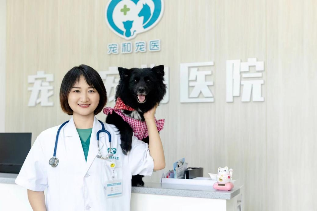 VETMEDIX کیس شیئرنگ 丨ہائی پاور لیزر سرجری برائے کان ہیماٹوما